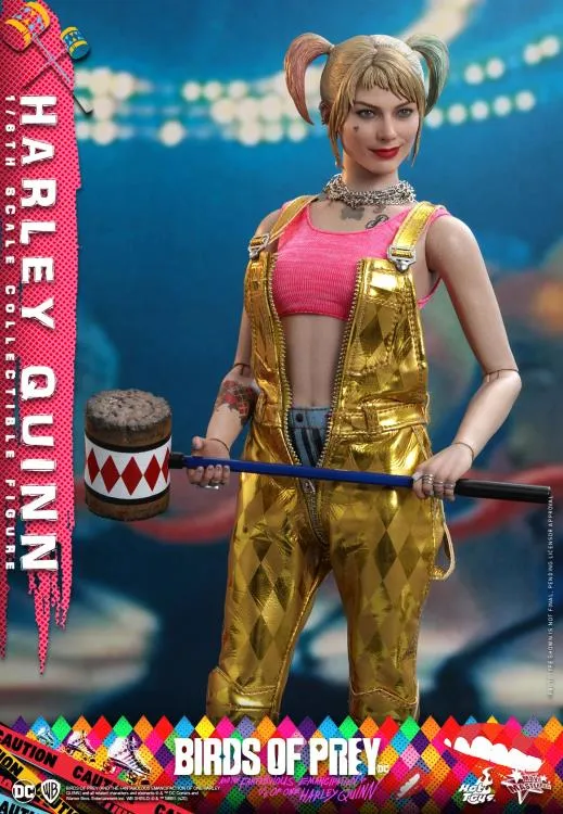 Birds of Prey Harley Quinn 1/6th Scale Collectible Figure