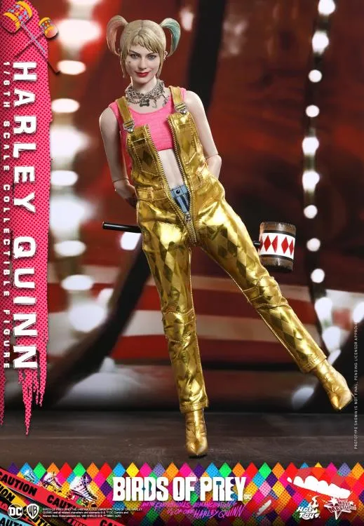 Birds of Prey Harley Quinn 1/6th Scale Collectible Figure