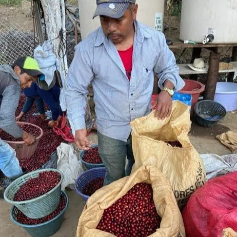 Finca la Nueva Montana Natural Red Catuaí - Fraijanes