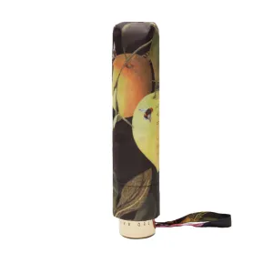Ted Baker Issela Umbrella in Citrus Bloom